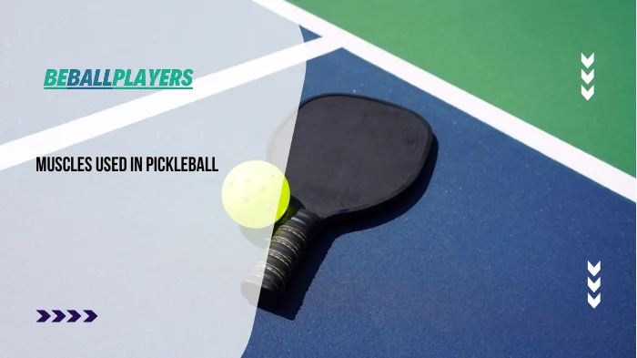 Muscles Used in Pickleball