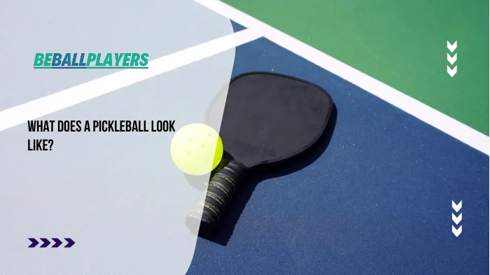 What Does a Pickleball Look Like